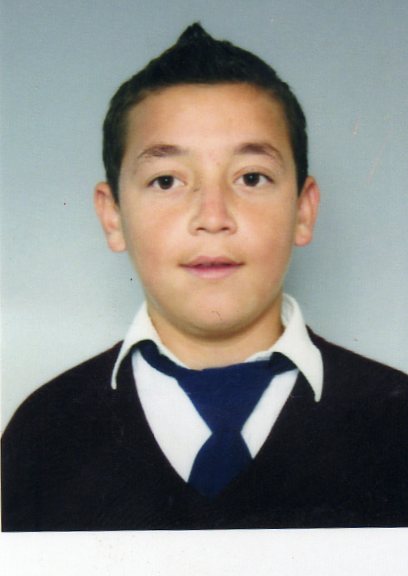 ALİ İNCE