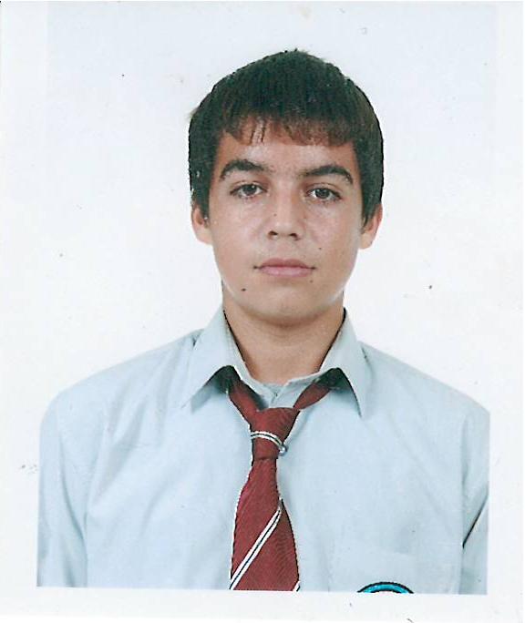ALEX MIBCHŞHENKO