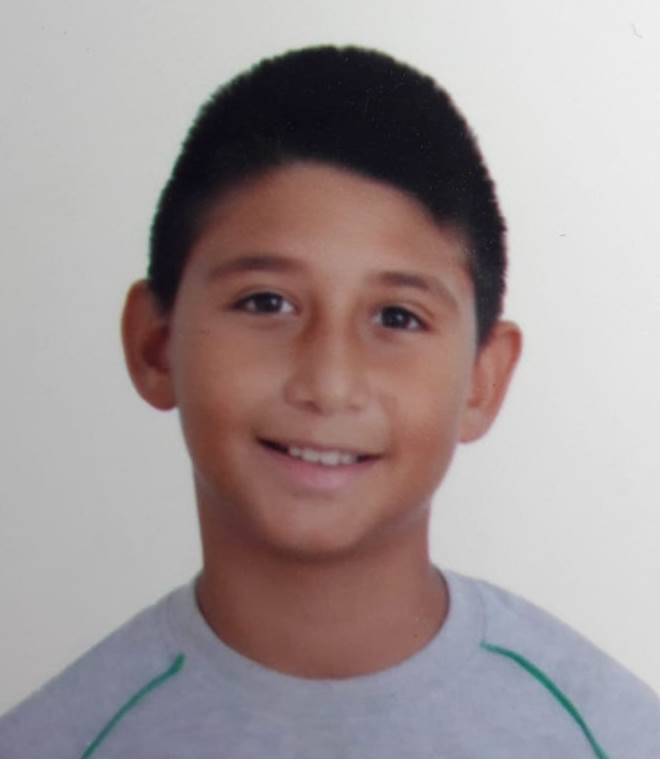 ARDA İNESİ
