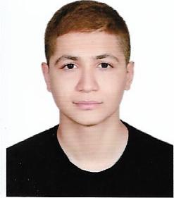 AMIR HOSSEIN GOL POUR