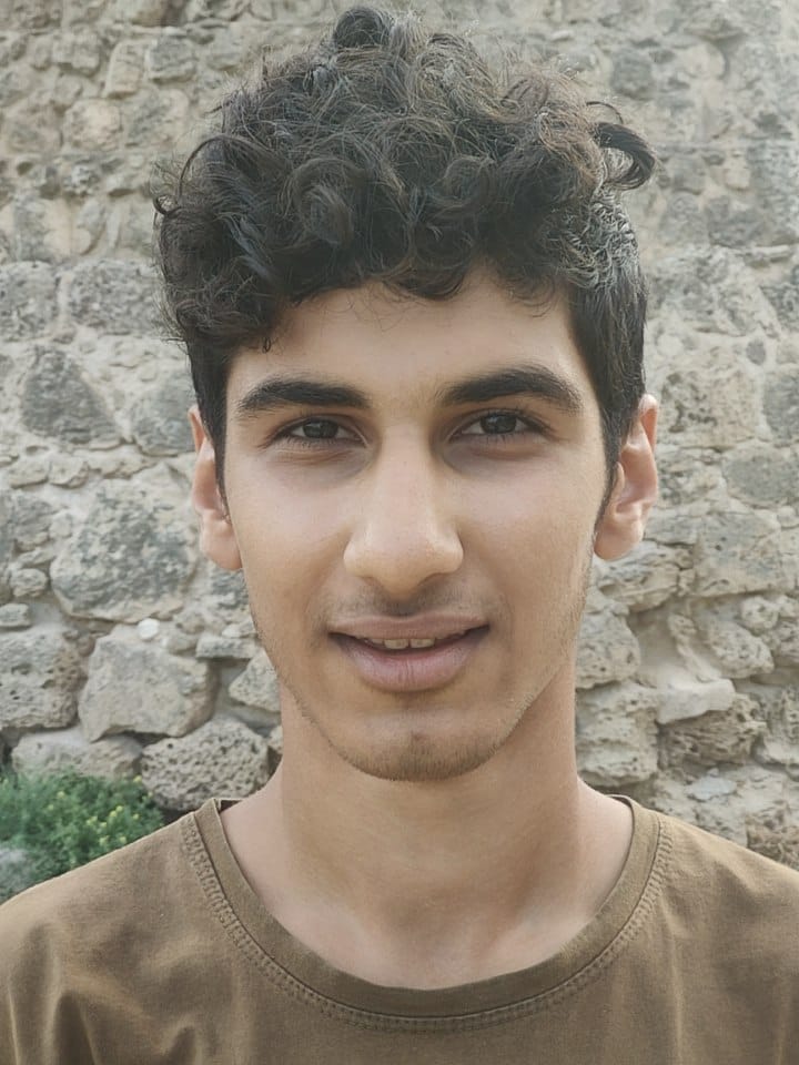 ALIREZA MORADGHOLIEI