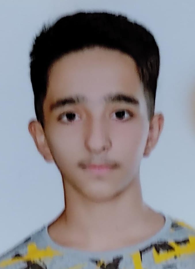 AMIRHESAM BAGHANI