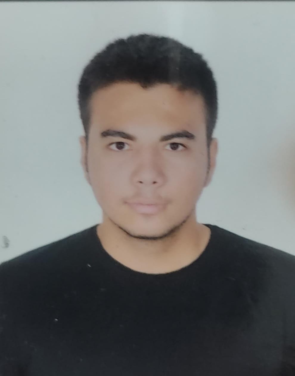 AHMET İNCE