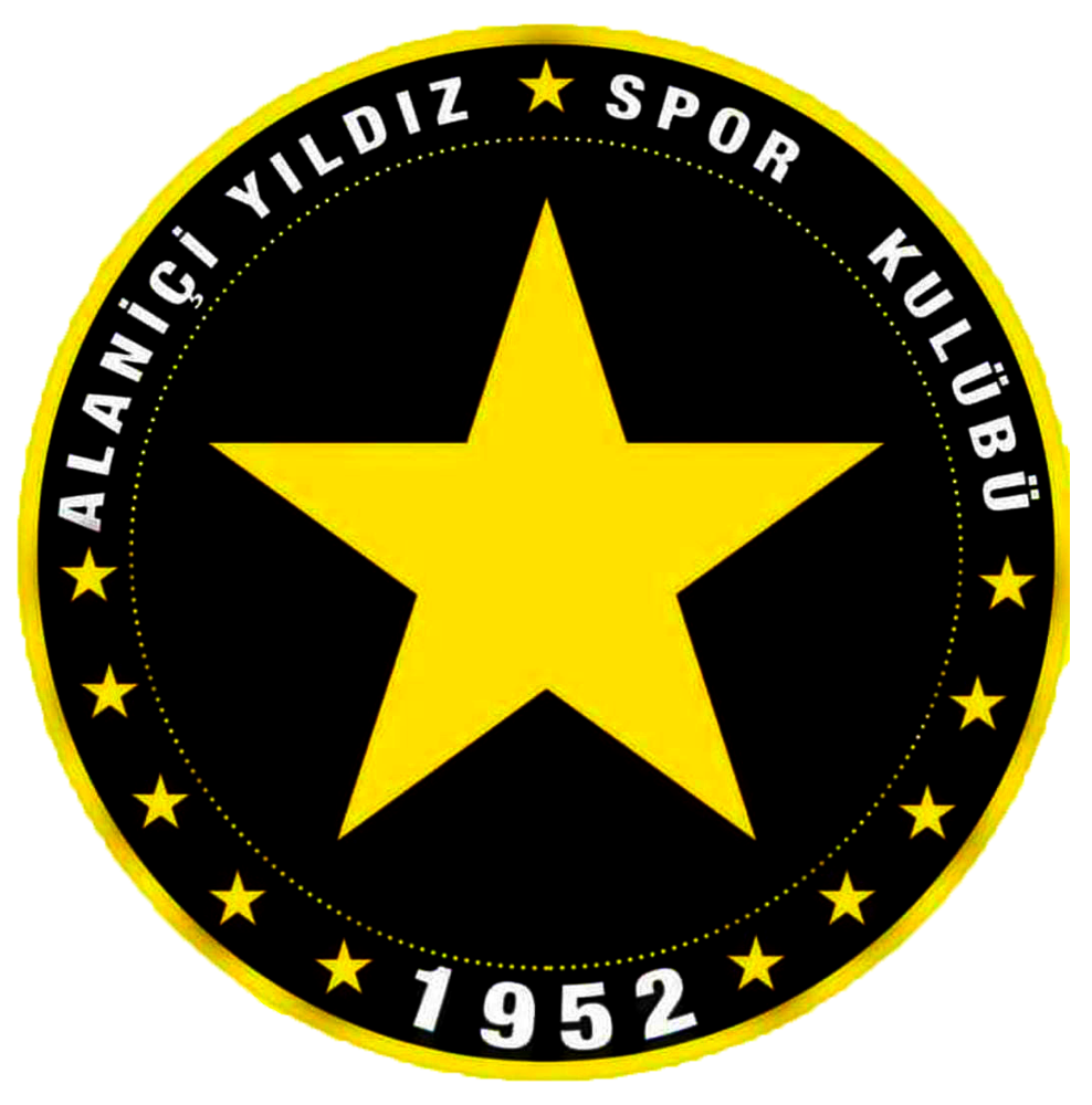 Alaniçi YSK